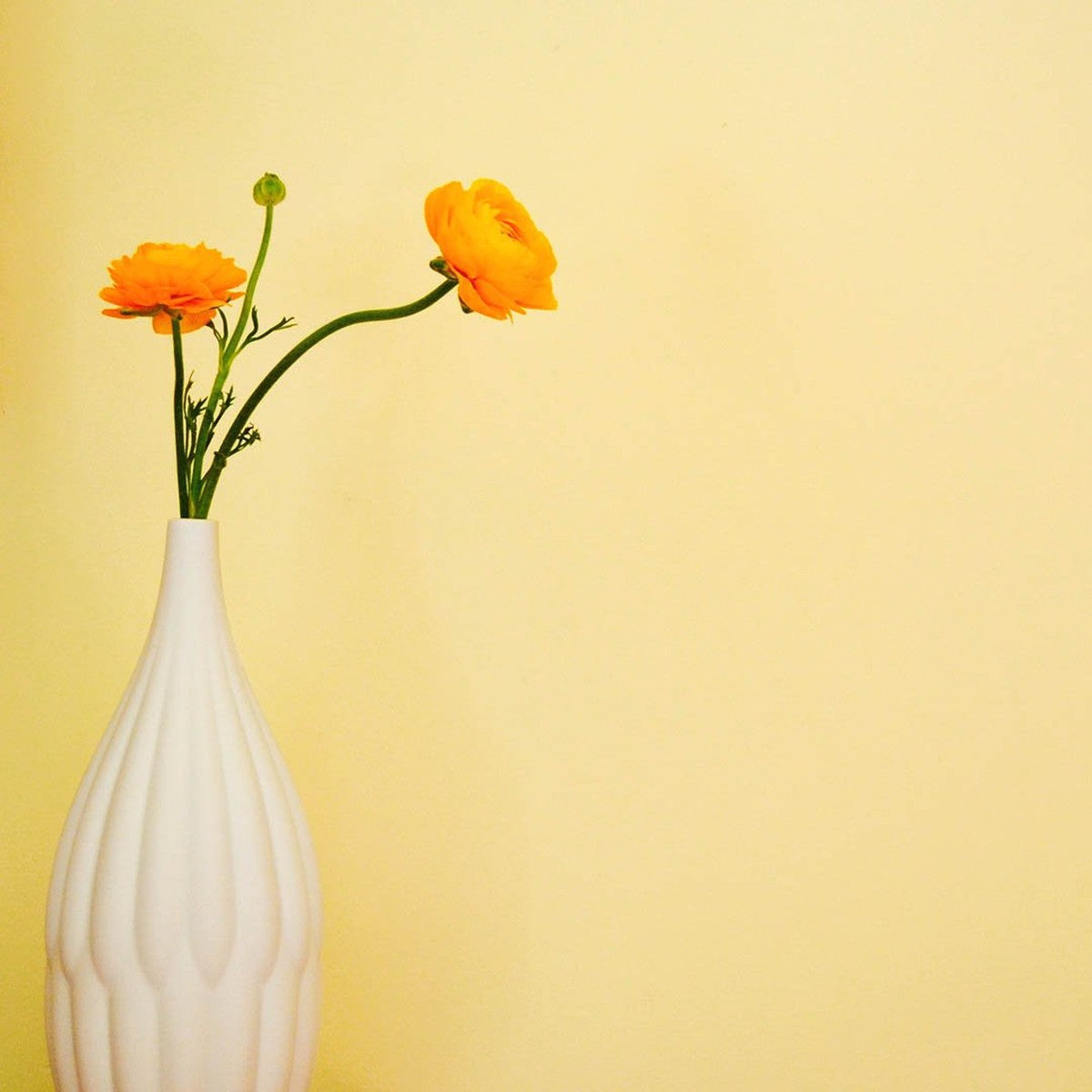 Textured Porcelain Bud Vases — Set of 3