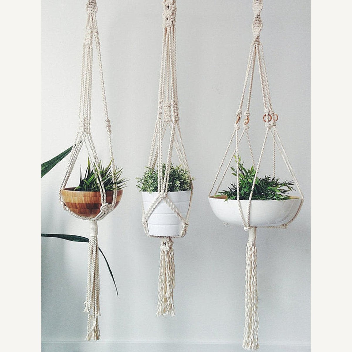 Macrame Plant Hanger — Three Styles
