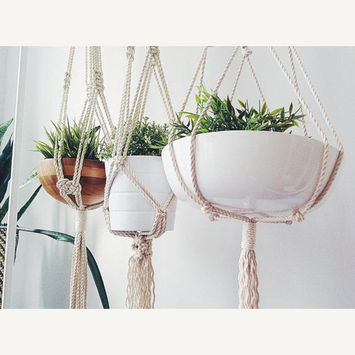 Macrame Plant Hanger — Three Styles