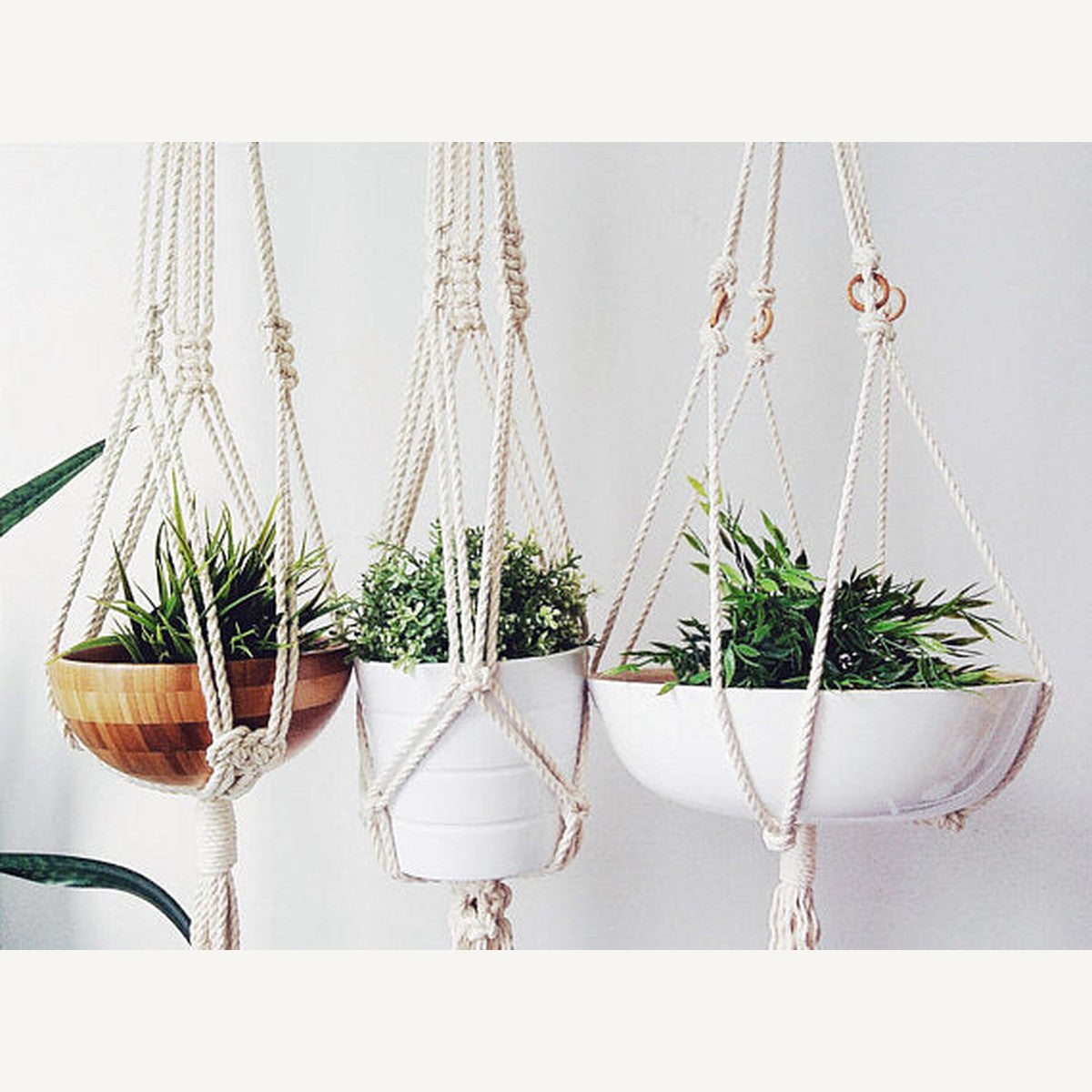 Macrame Plant Hanger — Three Styles